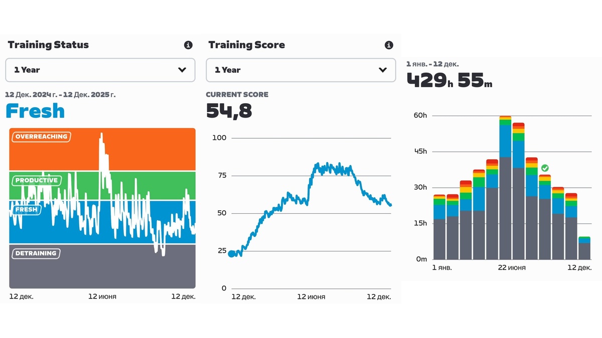 основные метрики по тренировкам