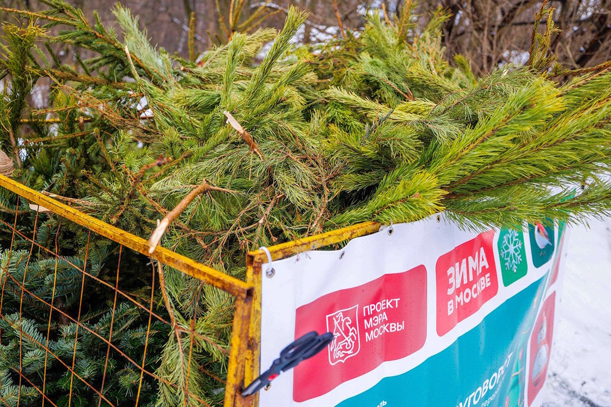    Фото: Олег Сосницкий, источник: мos.ru