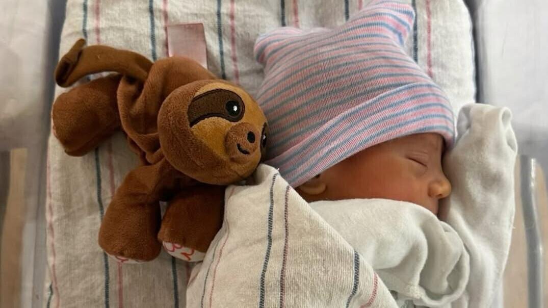    Фото: соцсети Анны Курниковой