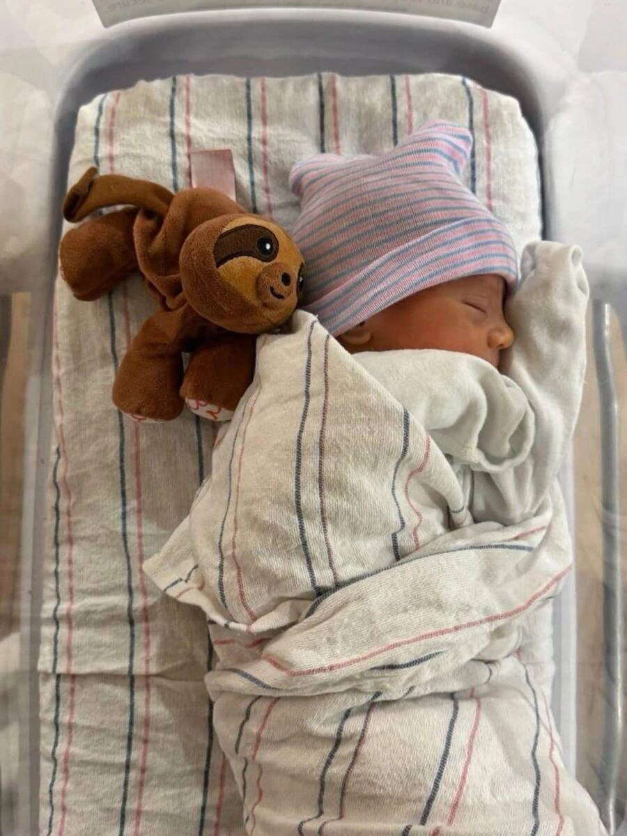    "Фото: соцсети"