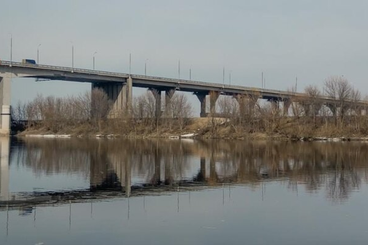    Фото: 62info.ru; источник: ООО «Рязанские порталы»