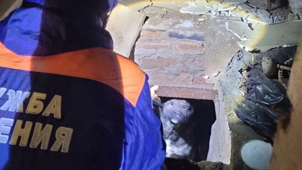   Поисково-спасательная служба Удмуртии