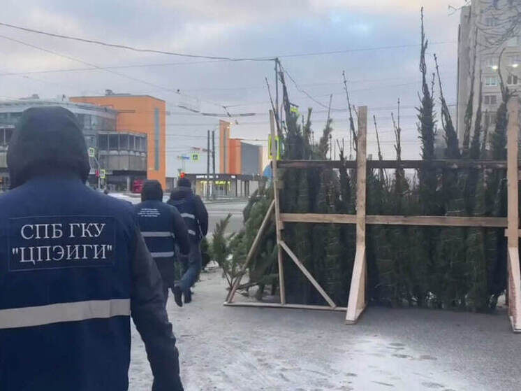     Продукцию изымают и отправляют на склад временного хранения. Фото: скриншот с видео ККИ