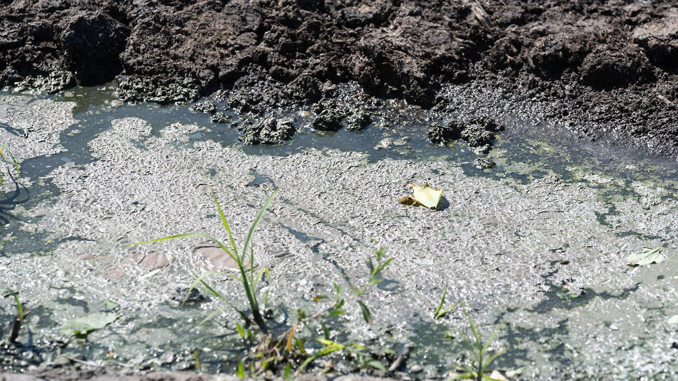 Фото: Олег Харсеев / Коммерсантъ