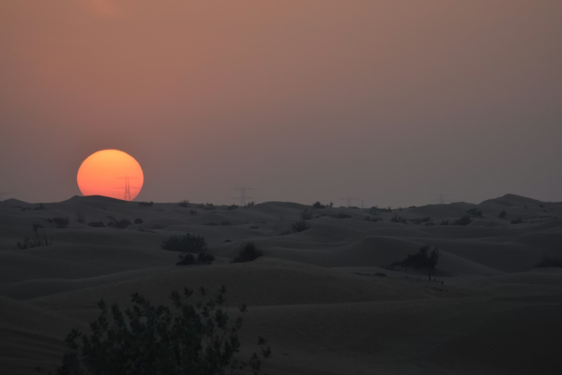  📷    Источник изображения: Lyle Hastie/unsplash.com