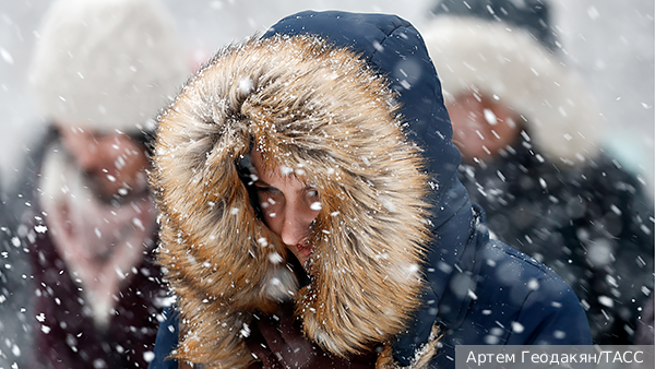     Фото: Артем Геодакян/ТАСС   
 Текст: Мария Иванова