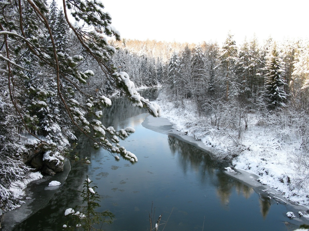 Автор фото: соцсети