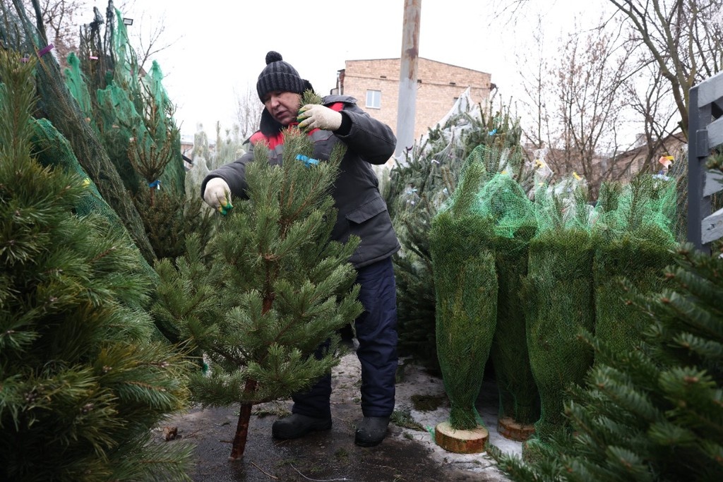    Фото © Владимир Андреев / Абзац