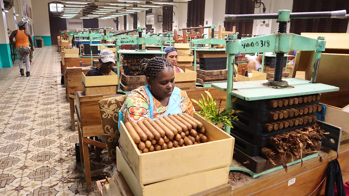 Фабрика сигар в Гаване, рабочие вручную крутят легендарные гаванские сигары