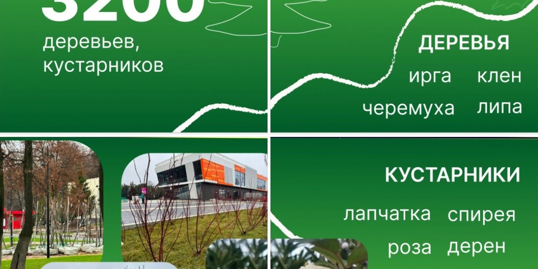 Более 3200 деревьев и кустарников высажено в округе за год, сообщает пресс-служба Администрации