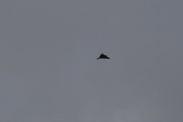    Фото: Serhii Smolientsev / Reuters