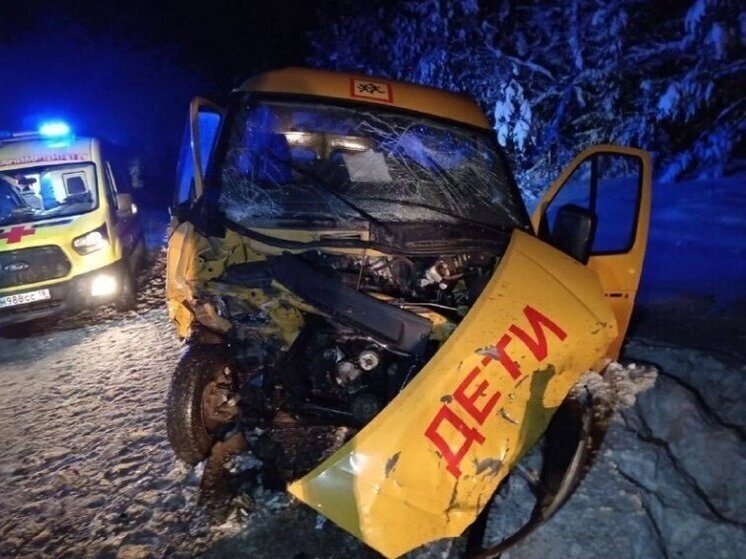     Источник фото: Госавтоинспекция Удмуртии