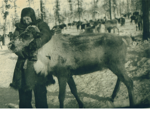 Кузнецова Нина Сергеевна с северным оленем на Чукотке. Примерно 1955 год