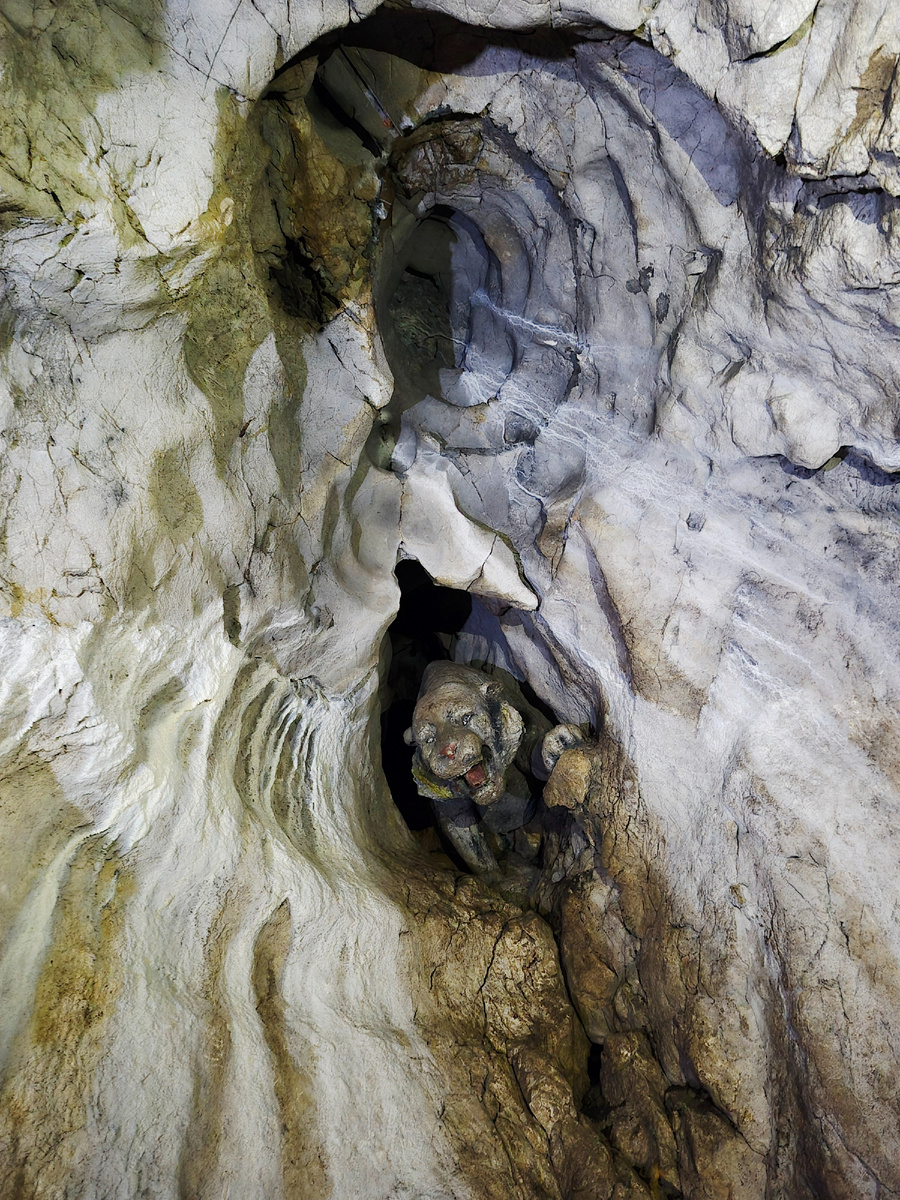 Тигр в пещере Пржевальского