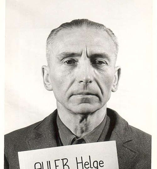 История 6-й пехотной дивизии Вермахта / Путь от формирования до капитуляции