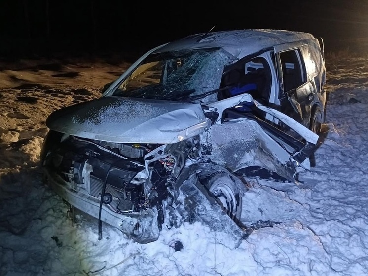     Фото: управление ГАИ по Курганской области