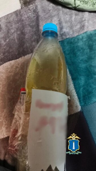    Фото: УМВД по Ульяновской области