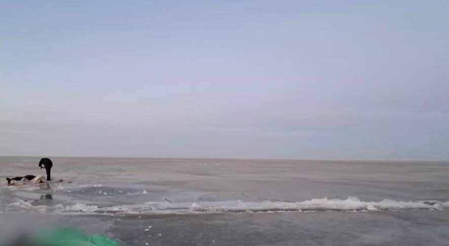    Фото: Следком Приморья