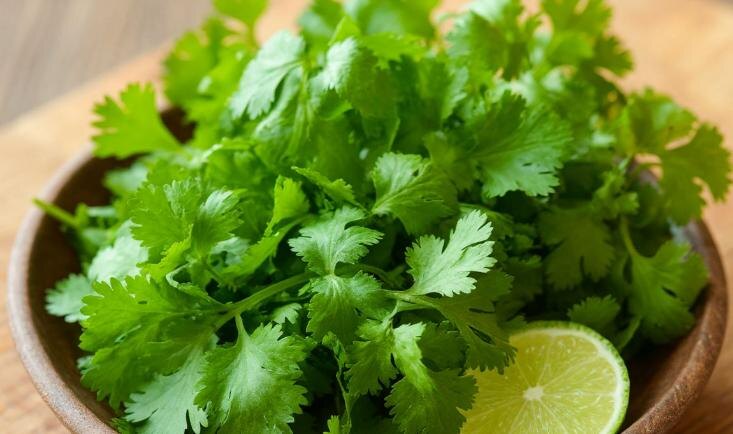    Сгенерировано: shedevrum.ai