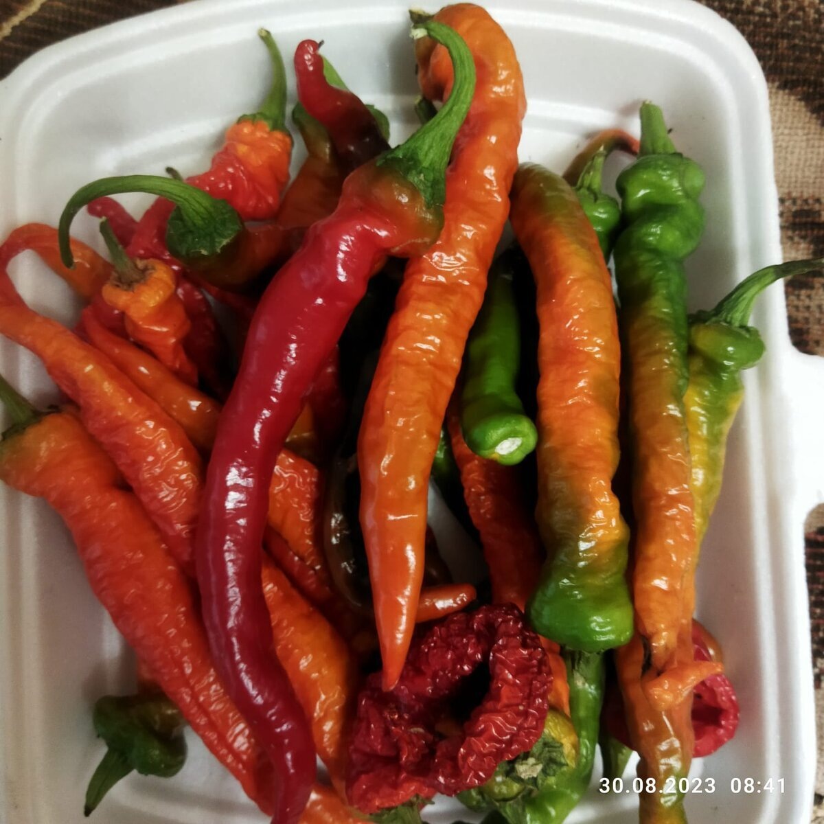 Спеет очень быстро 