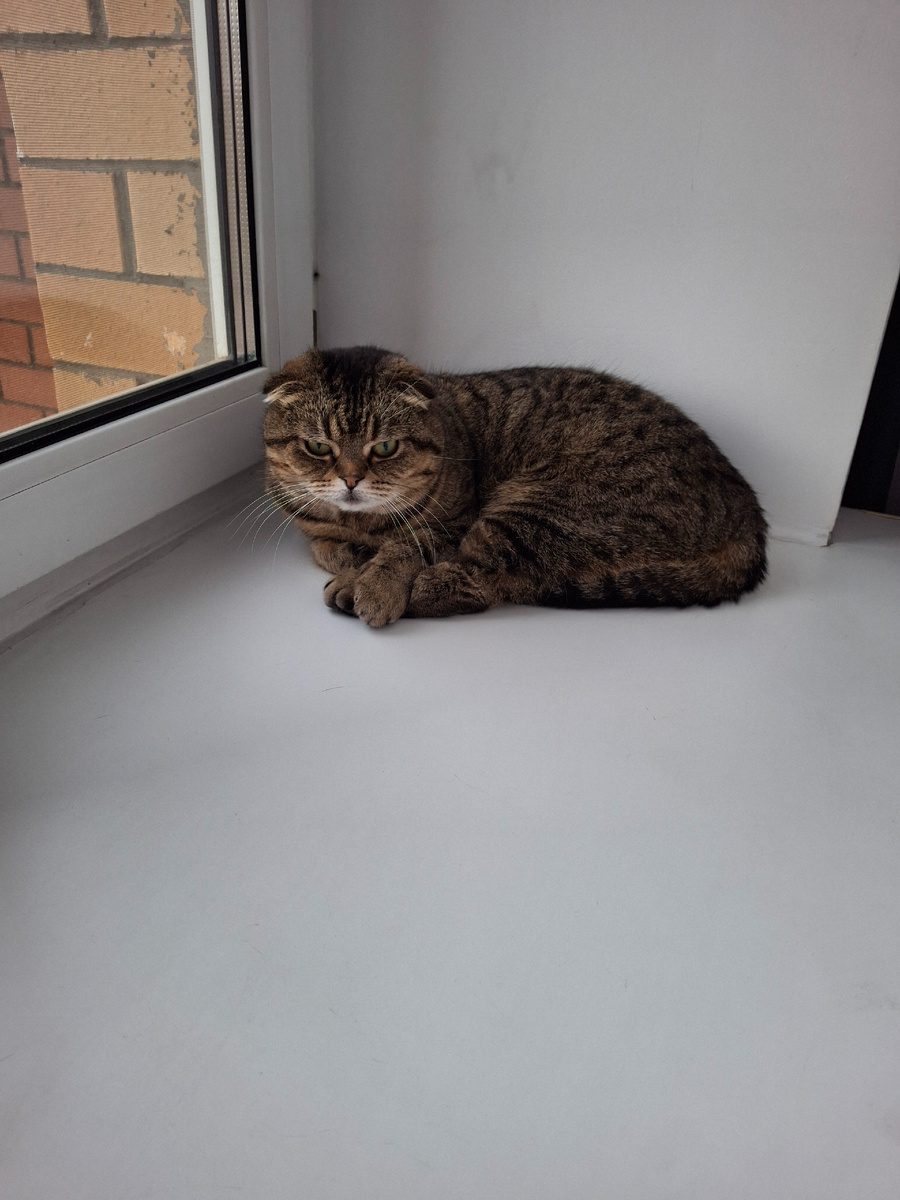 Отстаньте от меня