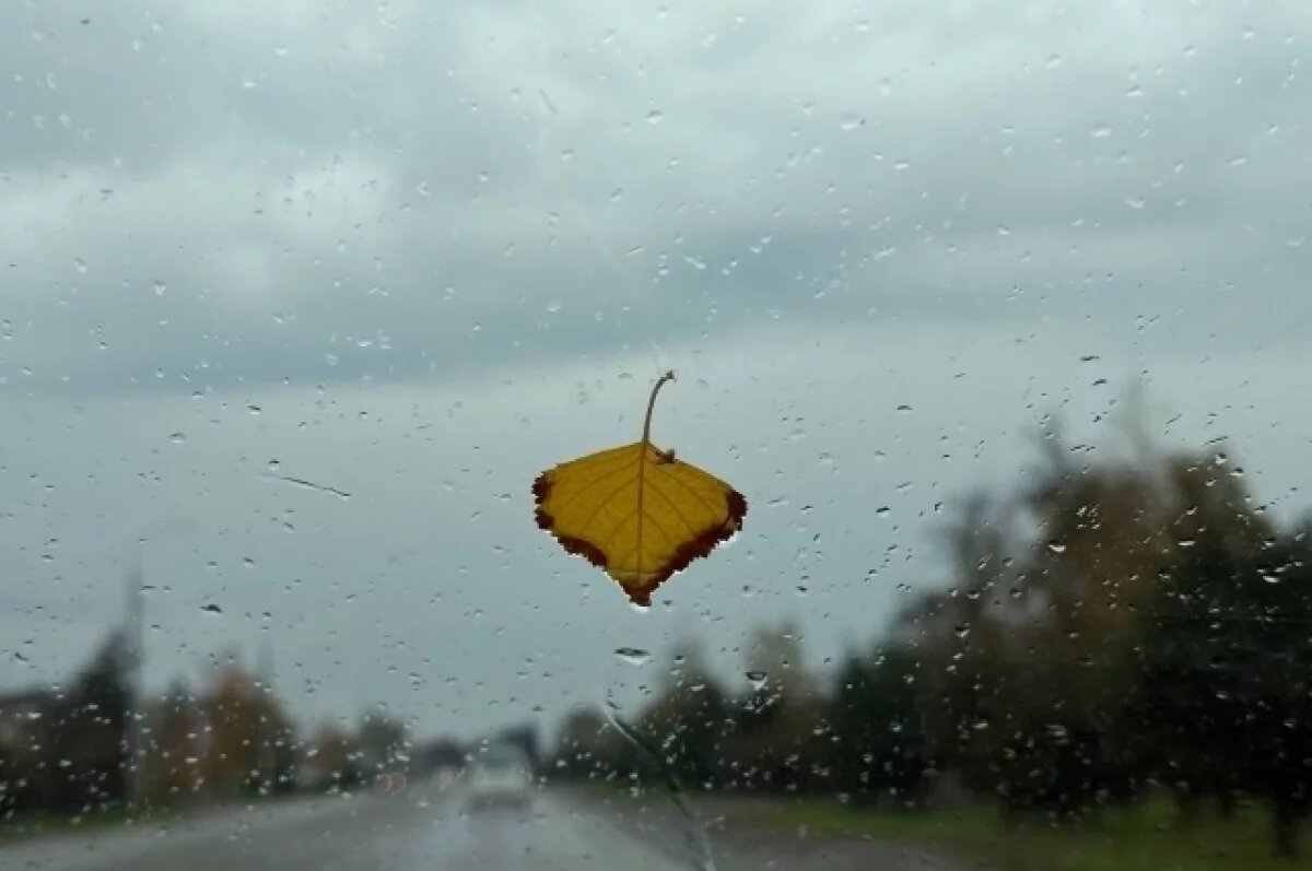    На Кубани 23 декабря ожидается дождь, столбики термометров покажут +6