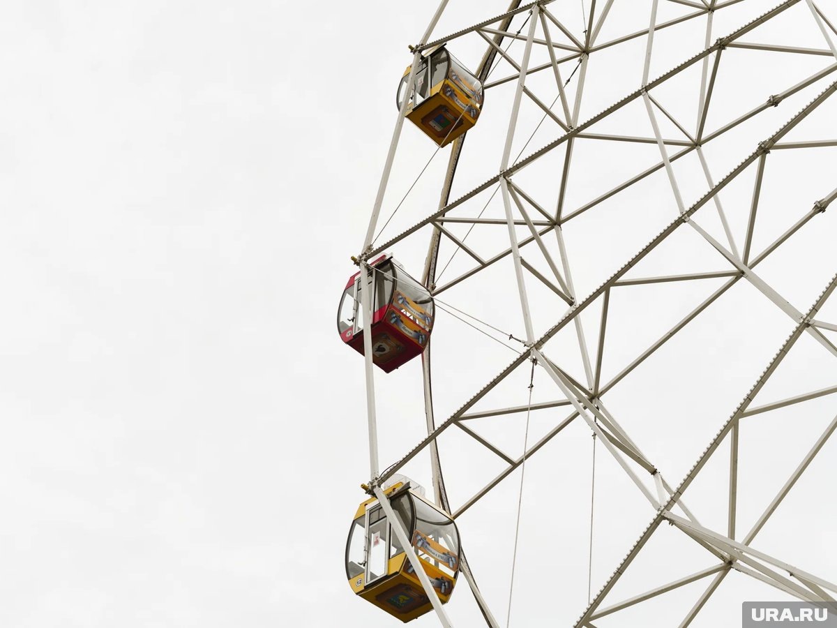     В парке предлагают прокатитсья с Дедом Морозом на колесе обозрения