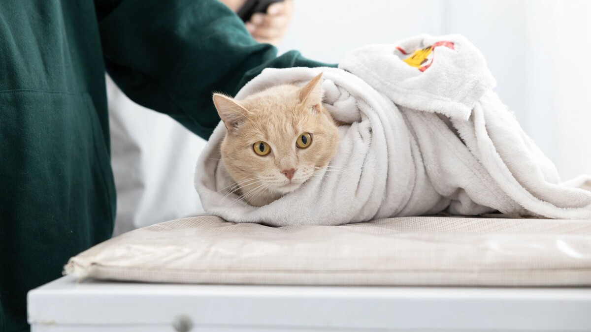    Фото: Фёдор Воронов / «Ямал-Медиа»