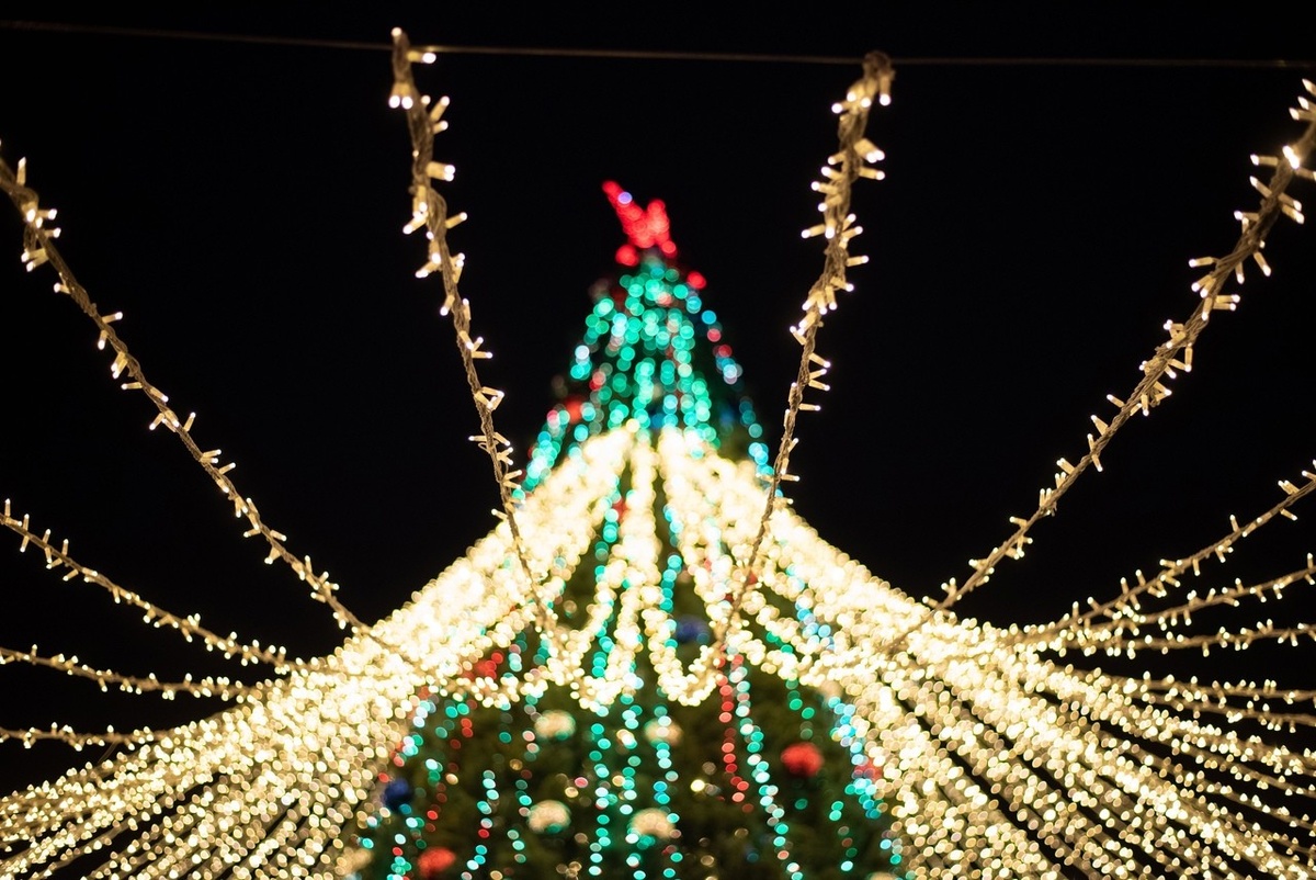    Ёлка на площади Кирова. Фото: "Республика" / Лилия Кончакова