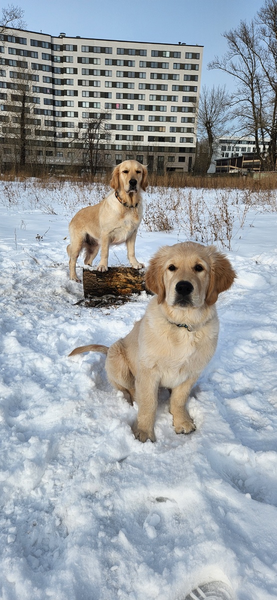 При переохлаждении включаются защитные механизмы