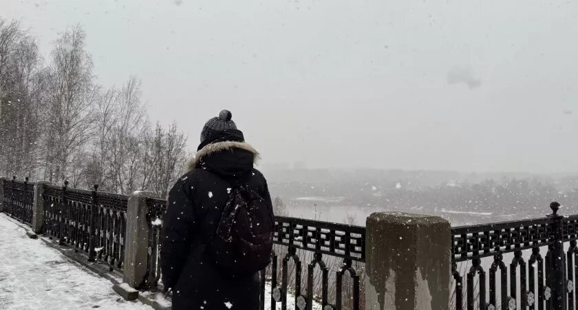    Фото progorod43.ru