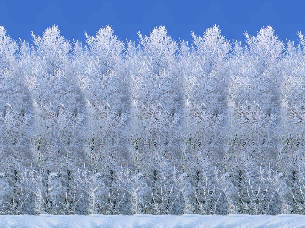 Яндекс  стерео картинки из свободного доступа