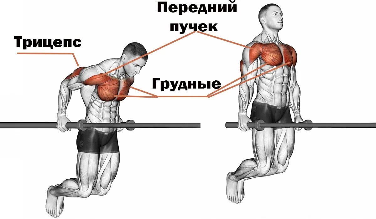 Источник: Яндекс картинки