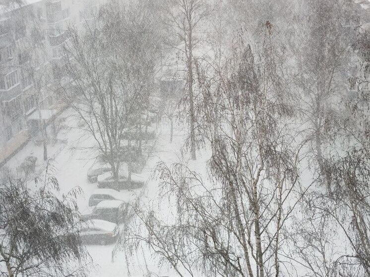     Фото: МК в Пензе