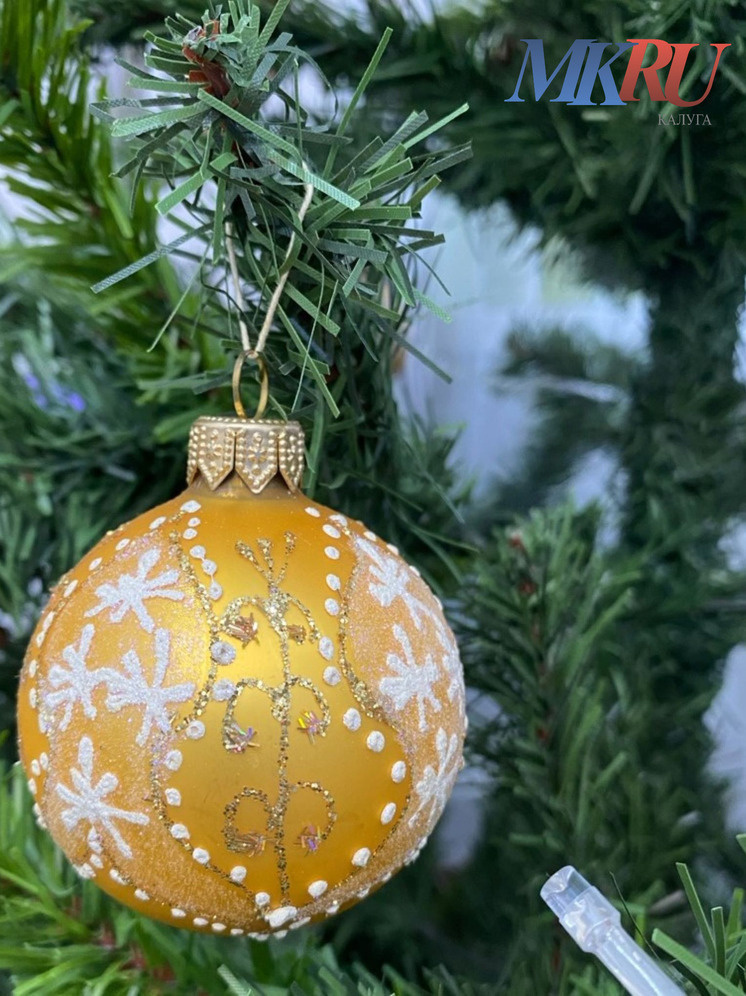     Фото: "МК в Калуге"