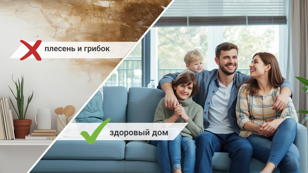 Лучшее средство борьбы с плесенью — эффективная вентиляция