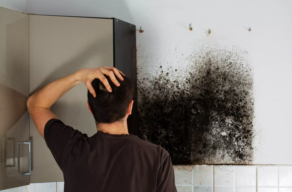 Визуально плесень видна не сразу, затхлый неприятный запах — первый ее признак