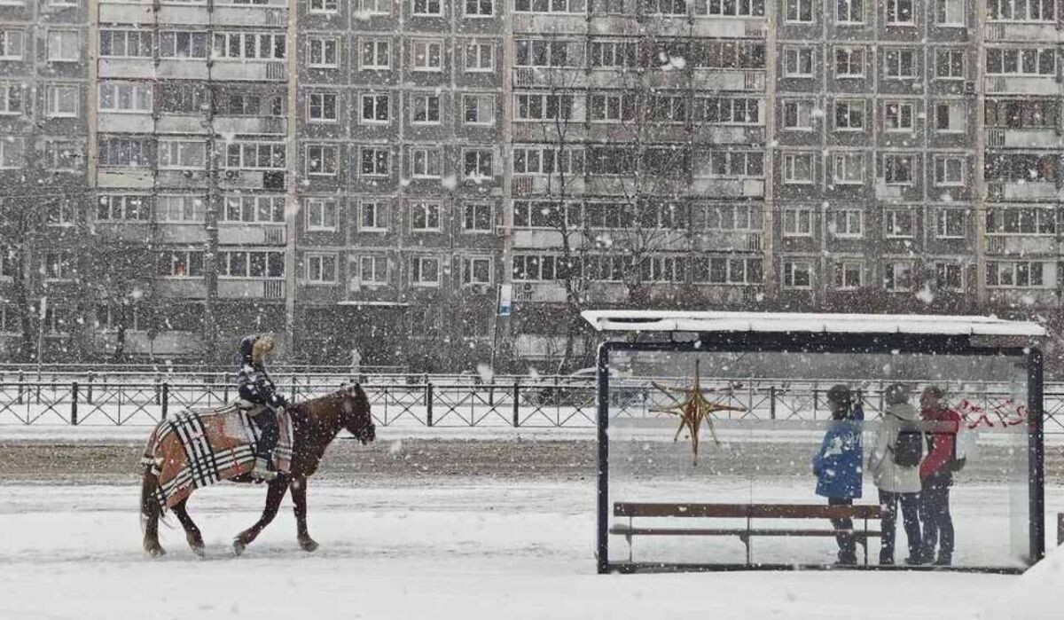     Санкт-Петербург. Источник: spb.kp.ru Автор фото: Алексей Булатов