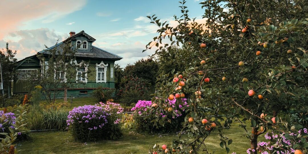 Американец назвал 8 вещей, которые удивили его в российской деревне