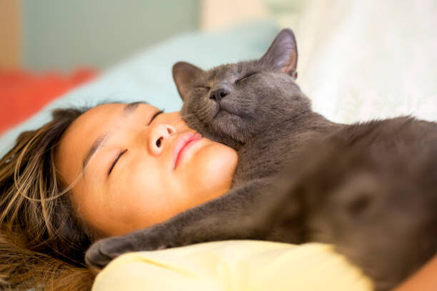 Почему кошка спит с вами