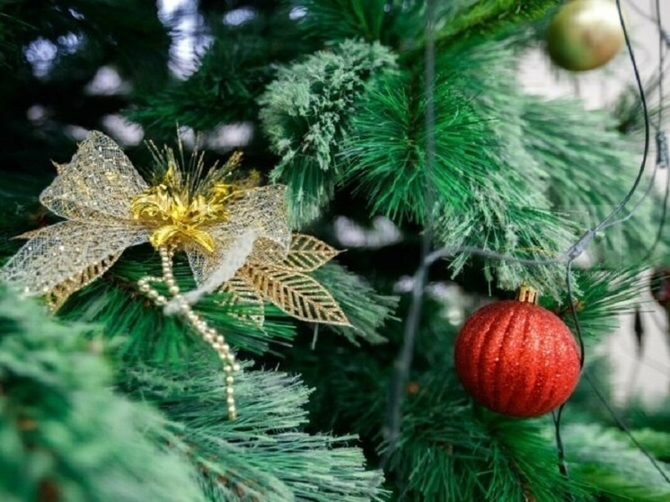     Фото: ИА "Татар-информ"