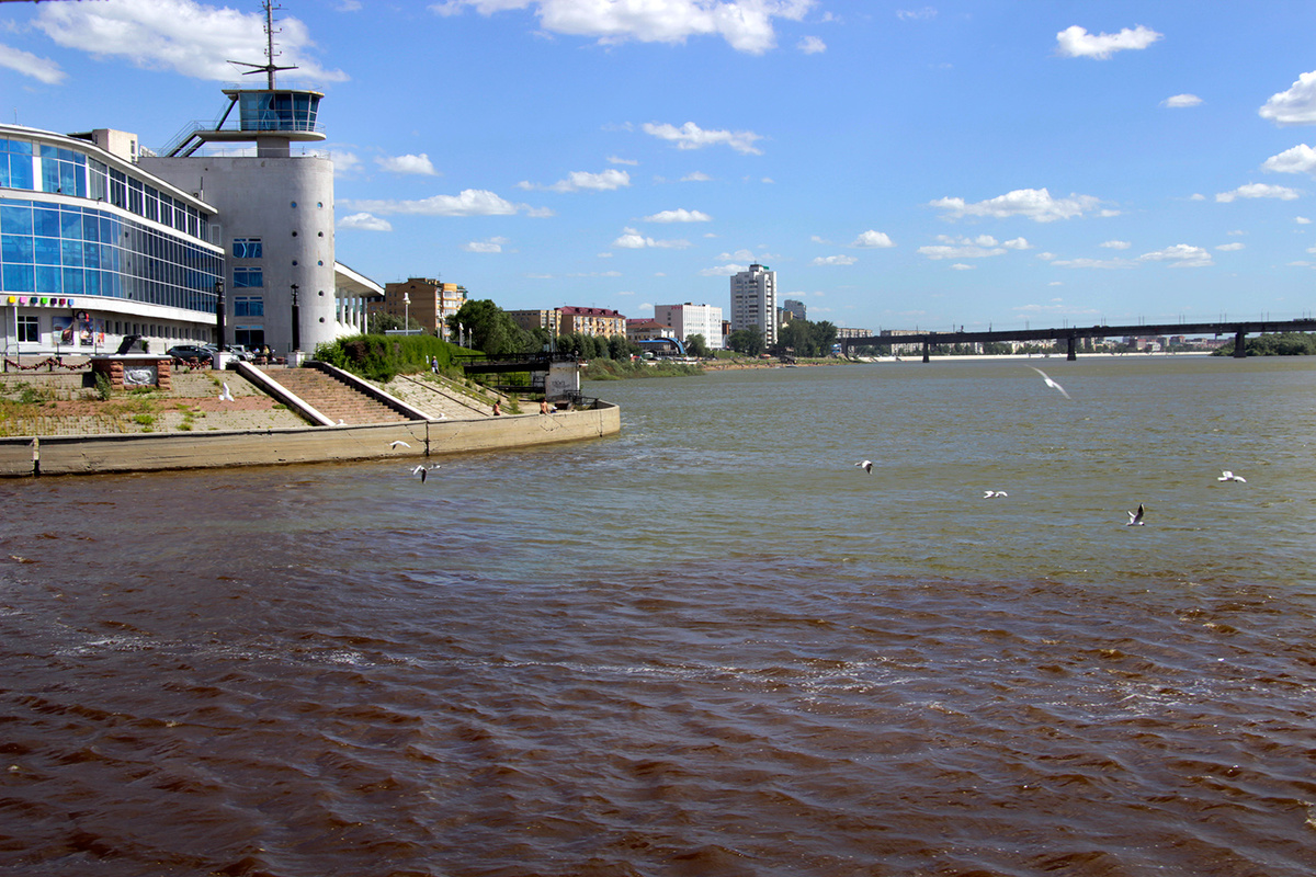 Иртыш: главные причины почему мелеет сибирская река. Фото из Яндекс картинки