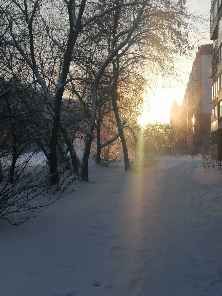 фото автора, сделанное в воскресенье, в мороз в  - 33 градуса 