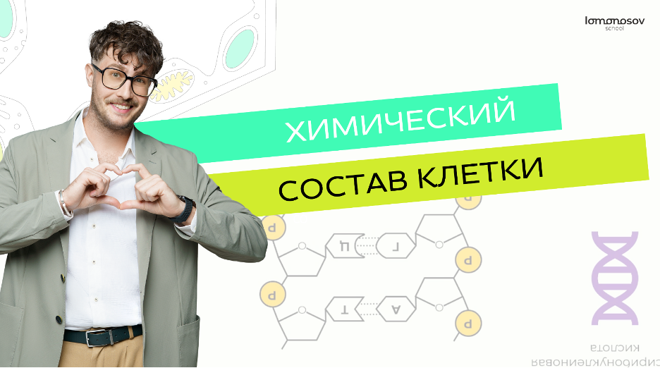 Химический состав клетки
