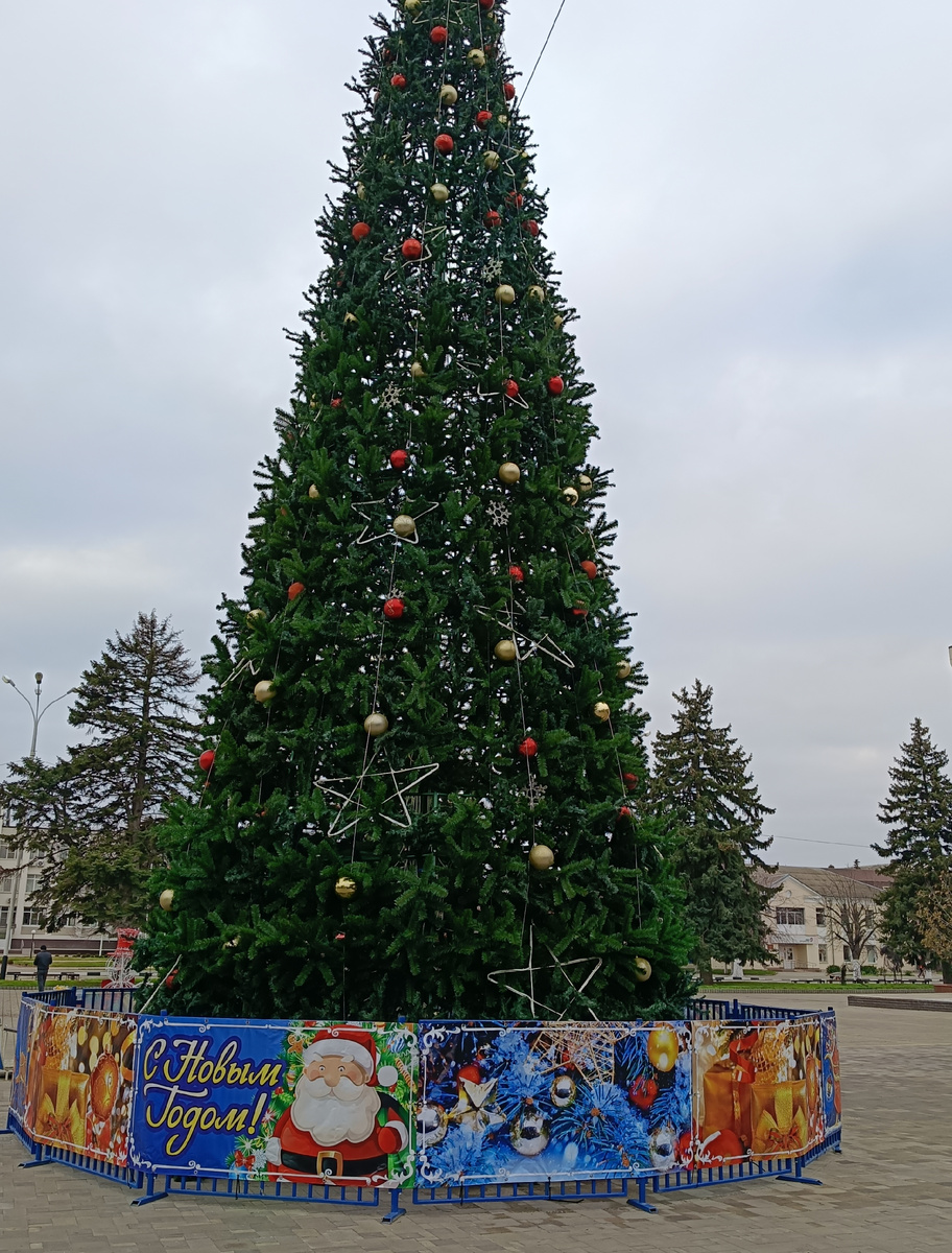 Ёлка в центре