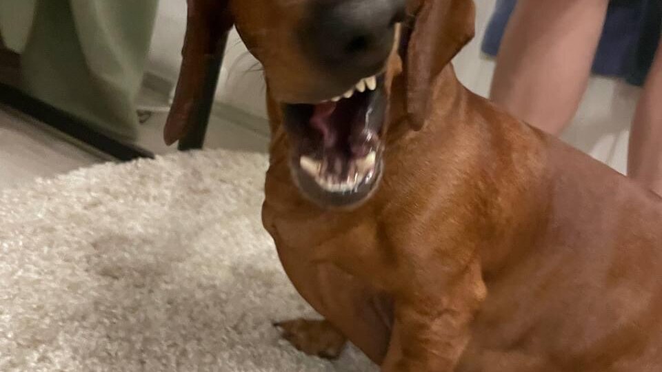 Продолжаем... 9