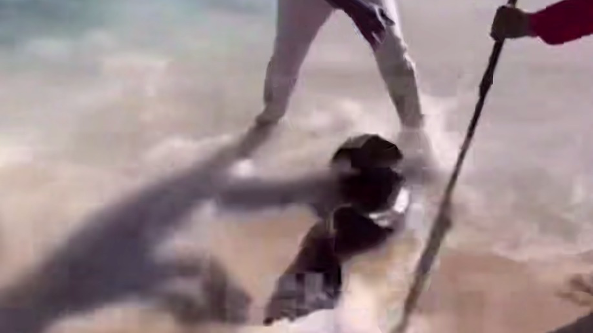    Фото: Скриншот видео Telegram-канал Shot