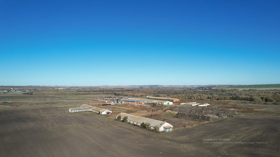 Фото: Пресс-служба Управления Россельхознадзора по Башкирии