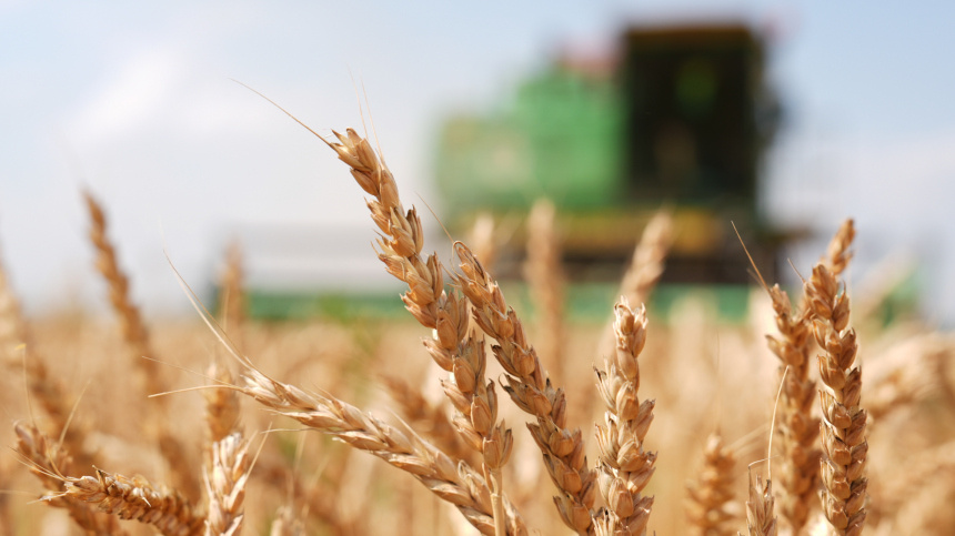    Фото: ИЗВЕСТИЯ/Эдуард Корниенко