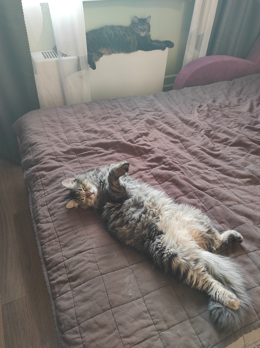 Поели, можно и поспать